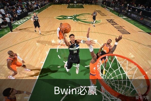 Bwin必赢公司简介